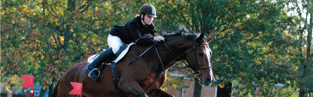 cavallo_200